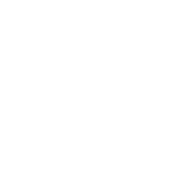 Home Page | Central Station