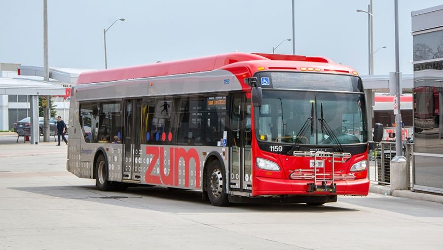 Photo of a Brampton bus