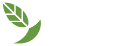 Home Page | DiGreen Homes